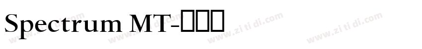 Spectrum MT字体转换